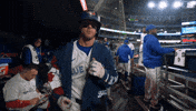 Celebrate Home Run GIF by Toronto Blue Jays