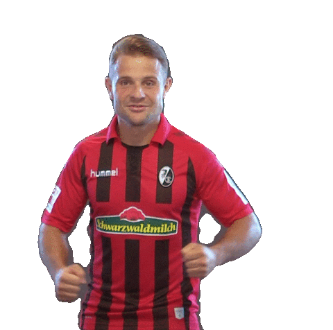 sc freiburg celebration Sticker by SCF