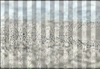 Vhs Color GIF by jorgemariozuleta
