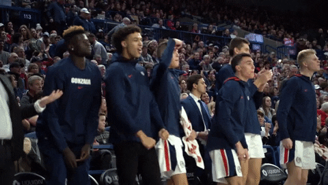 GonzagaBulldogs giphyupload celebration basketball bench GIF