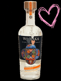WahakaMezcal mezcal ensamble wahakamezcal GIF