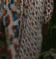 New York Fashion Week GIF by NYFW: The Shows