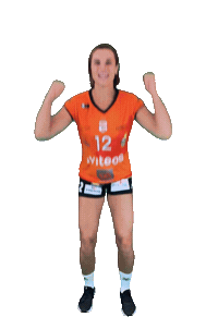 Volley Sticker by NUCVolleyball