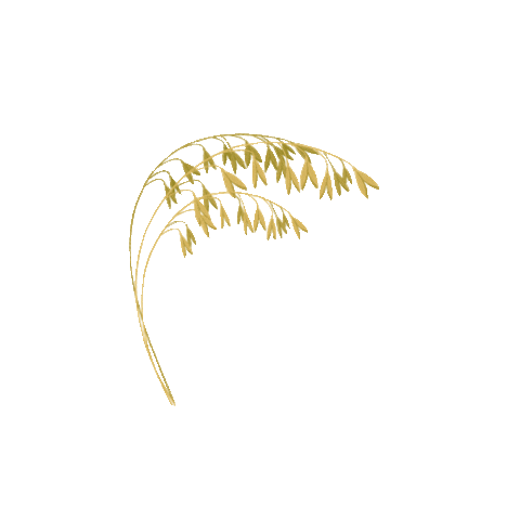 Withb giphyupload harvest oats withb Sticker