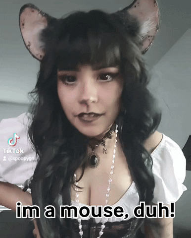 Mean Girls Mouse GIF by SpoopyDrws