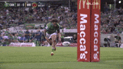 Rugby League Papa GIF by Canberra Raiders