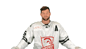 Sport Hockey Sticker by ledoritulys.lt