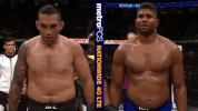 ufc 213 GIF