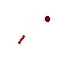 Ball Stv Sticker by Rheintaler Turnfest 2022