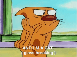 nicksplat GIF