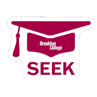 Seek Sticker by Brooklyn College
