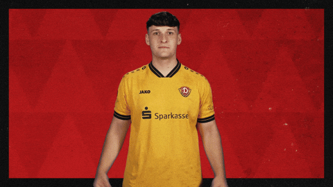 Dynamo Dresden Football GIF by Bundesliga