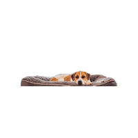 tstarch sleep chill relax bed Sticker