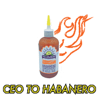 Fire Bird Sticker by Executive Heat