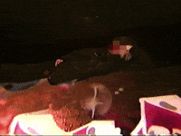 Rise Sandos GIF