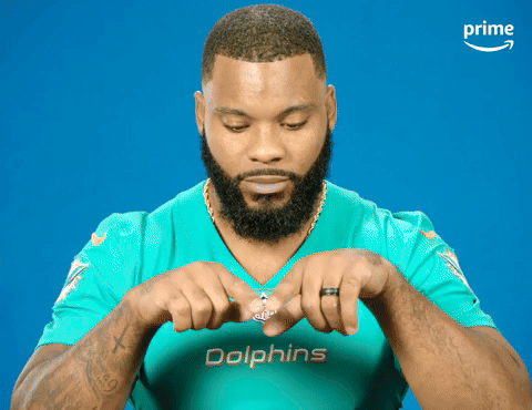 Go Dolphins