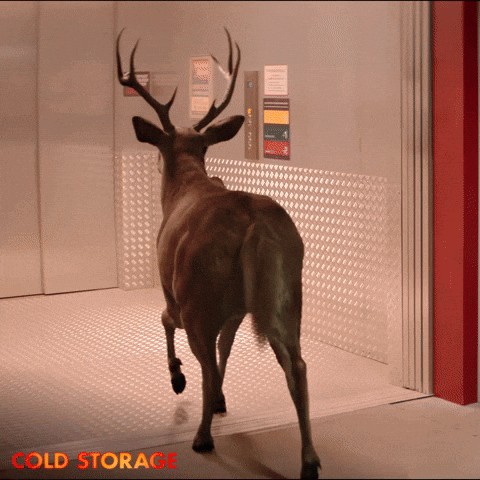 Joe Keery Virus GIF by STUDIOCANAL