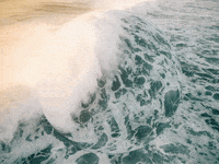 You Can Wow GIF by FranchiseONE.de