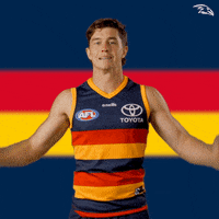 Mchenry GIF by Adelaide Crows