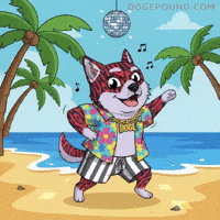 Happy Good Vibes GIF by Doge Pound