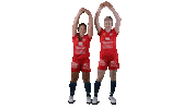 Sport Floorball Sticker by F-liiga