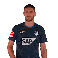 Andrej Kramaric Sport Sticker by TSG Hoffenheim
