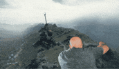 Fly Flying GIF