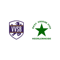 Sport Heerlen Sticker by Groene ster