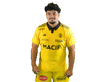 Rugby Sticker by Stade Rochelais