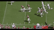 football harry GIF by JMUDukes
