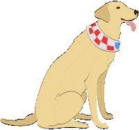 Happy Red And White Sticker by CUREUsher