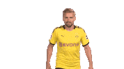 Borussia Dortmund Love Sticker by Bundesliga