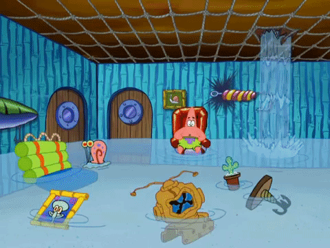 season 8 barnacle face GIF by SpongeBob SquarePants