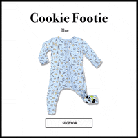 Cookie GIF by Bellabu Bear