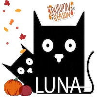 Fall Season Autumn Sticker by YA MARKETING