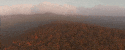 alabama GIF