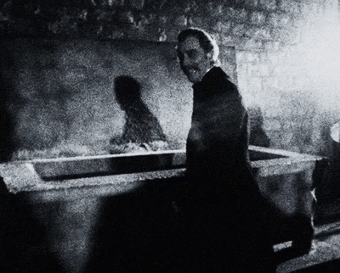 ritaskelter giphygifmaker GIF