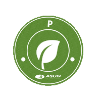 Compras Veggie Sticker by Asun Supermercados