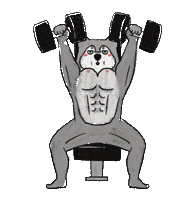 Workout Gym Sticker