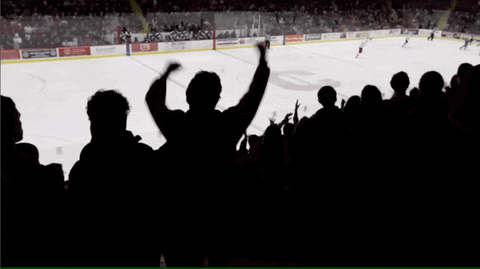 cornell university GIF