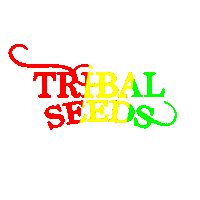 Bob Marley Reggae Sticker by Tribal Seeds