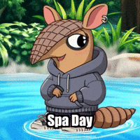 Hot Springs Relax GIF by Chillo Dillo