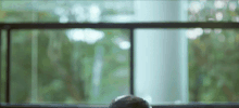 kit kat indonesia GIF