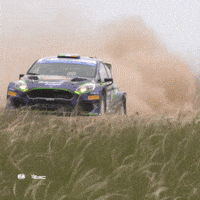 Rallying Ford GIF by FIA European Rally Championship