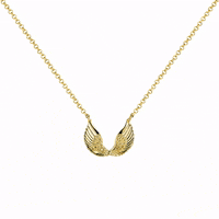 aristocrazy  GIF
