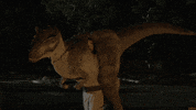 will forte fox GIF by The Last Man On Earth