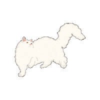 Cat Kitty Sticker by Nathalie Lambinet