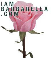 Pink Rose Aob Sticker by Barbarella