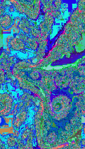 GIF by Leo Pyrata