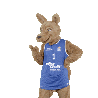 social-media-easycredit basketball peace easycredit ellihoop Sticker